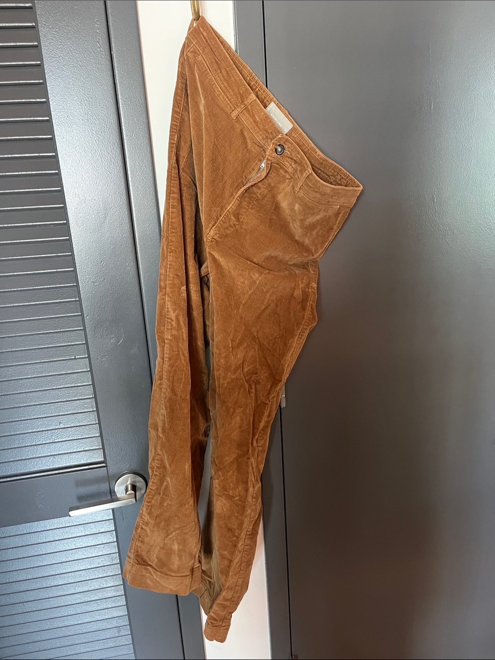 Women’s everlane cords in rich beige